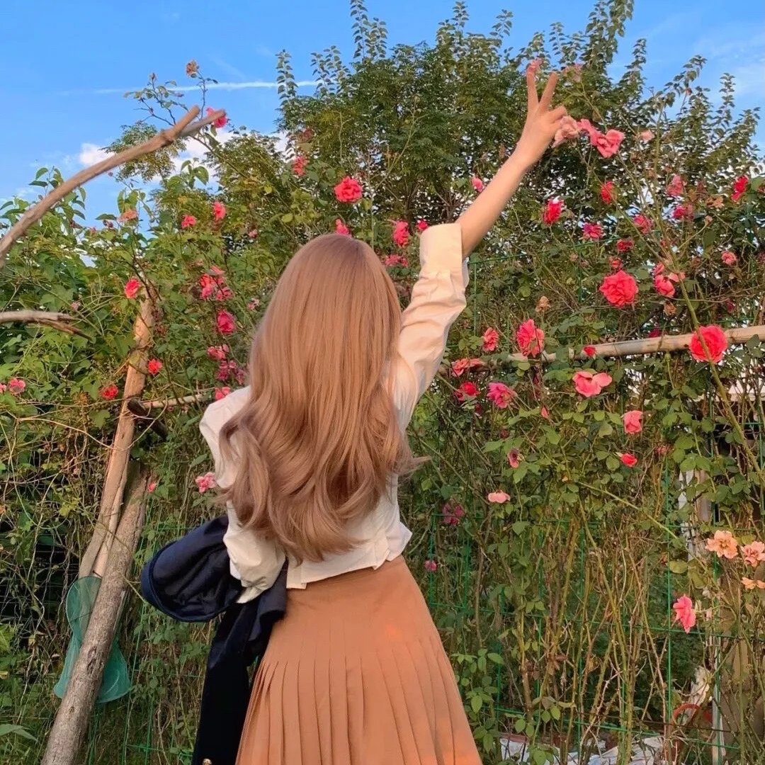 岗上花开 封面