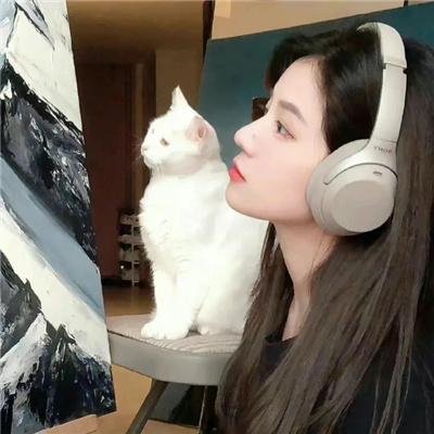 亲密敌人 封面