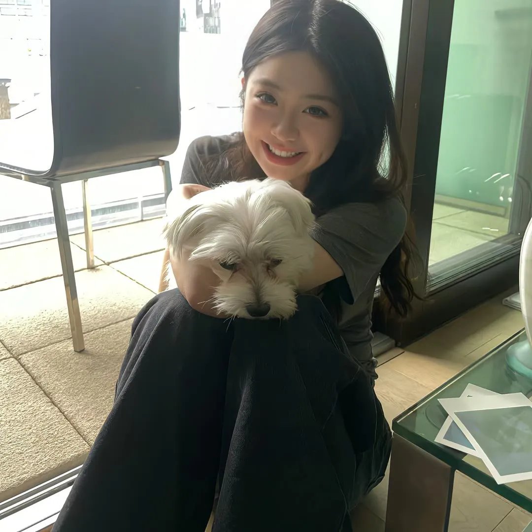 求爱女王 封面